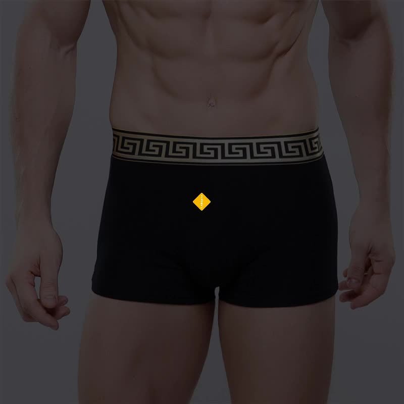 high quality underpants 4pcs/lot 11 colors sexy cotton men breathable mens  underwear branded boxers underwear male boxer
