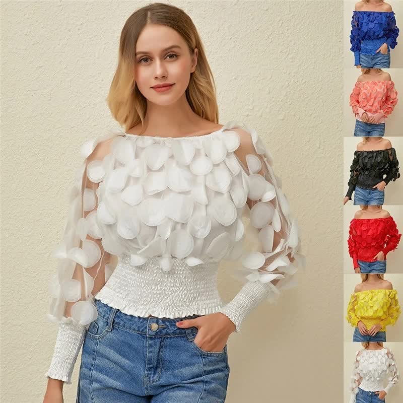 トップス SHEER CARDBOARD PUFF SHOULDER TOP 399fb107aa823d17_250x@2x.jpg?v