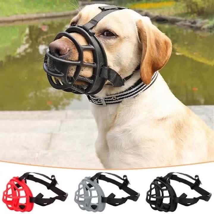 Muzzle petbarn hotsell