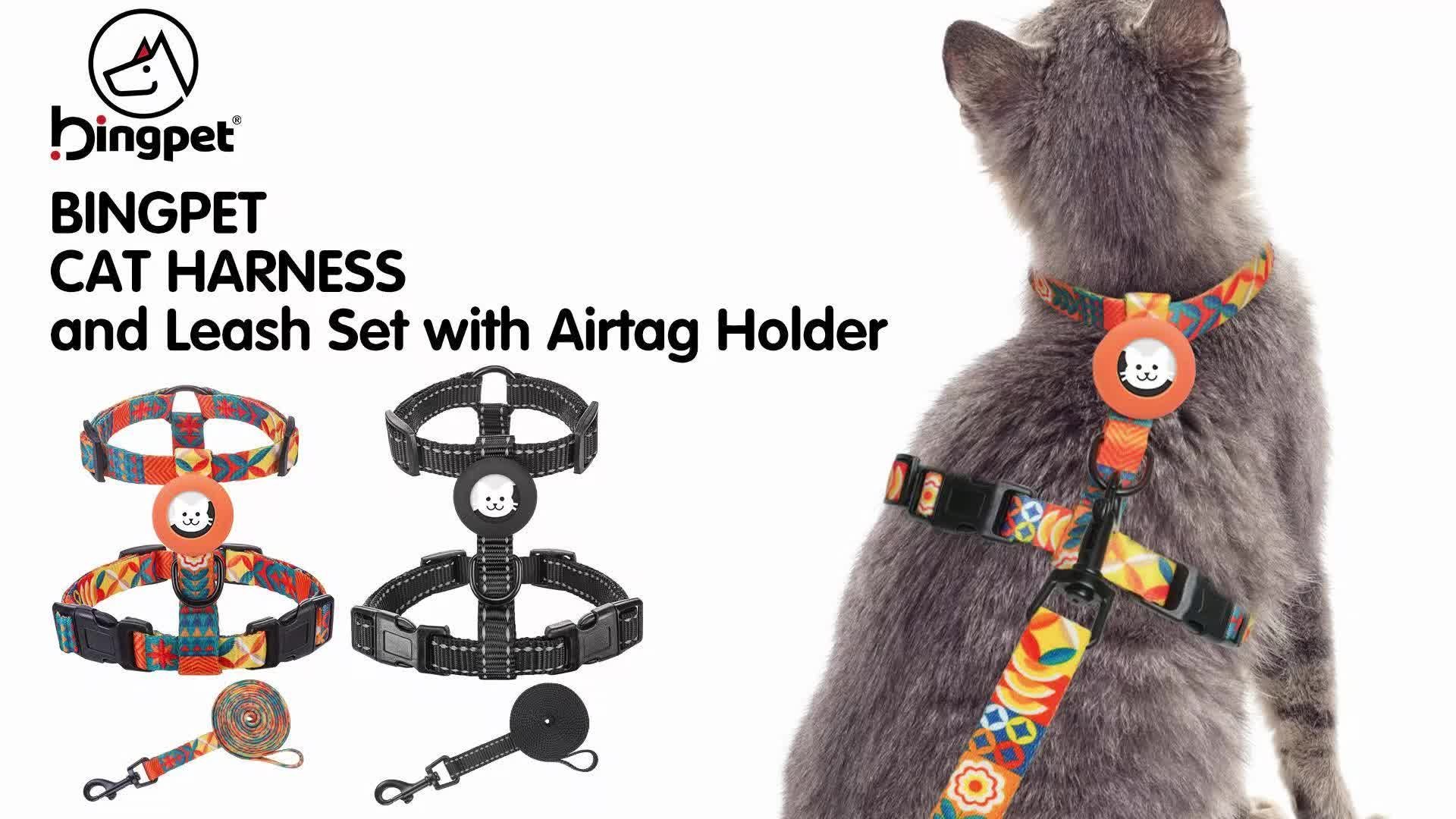 Cat Harness And Leash Escape Proof BINGPET Soft And Air-Mesh