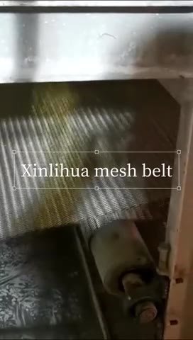 Correia de malha de peças de reposição diretamente fornecida pelo fabricante alta temperatura e correias de malha transportadora resistente à corrosão