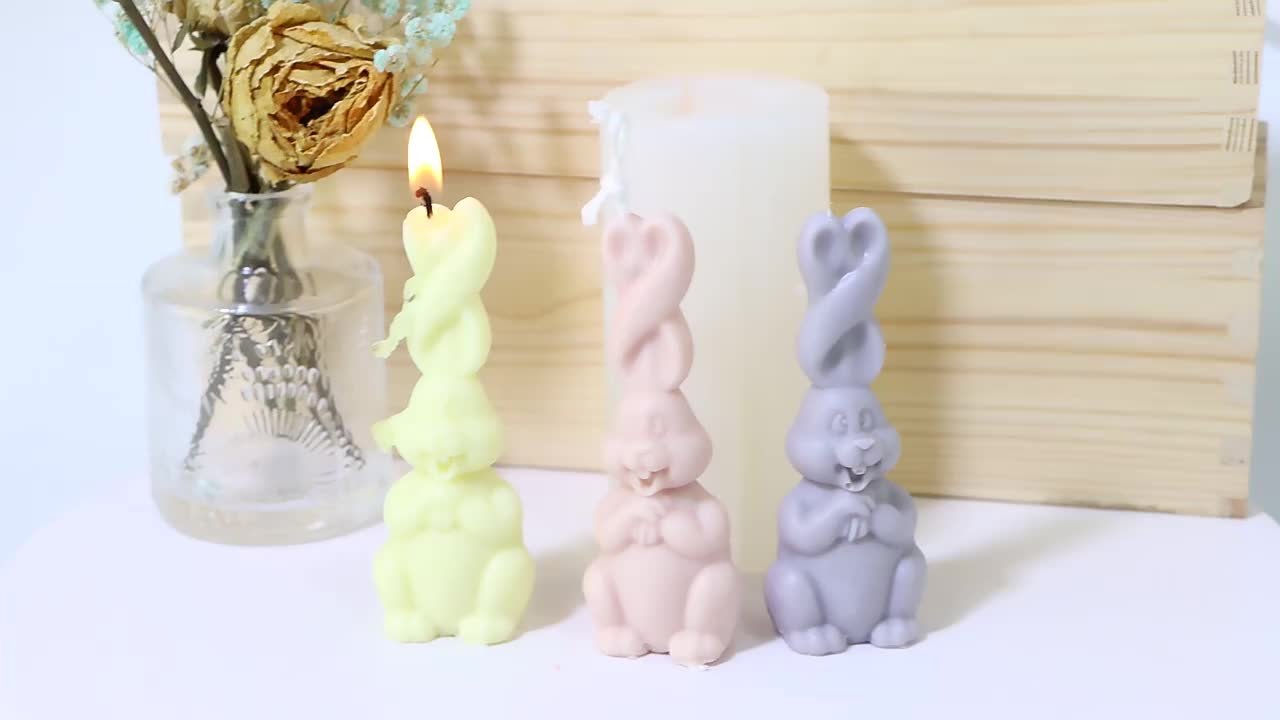 Moldes de silicona 3D para velas, moldes de vela de mariposa, moldes para  hacer velas, suministros para velas de aromaterapia, jabones, cera de  resina