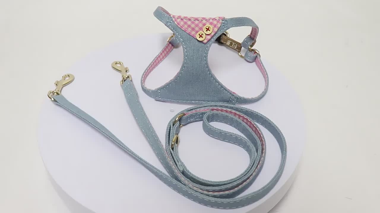 Aiuta i cani abbandonati e in catena, image size:1280x720